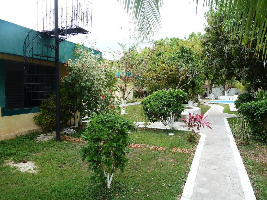 Amigos Hostel Cozumel Exterior foto