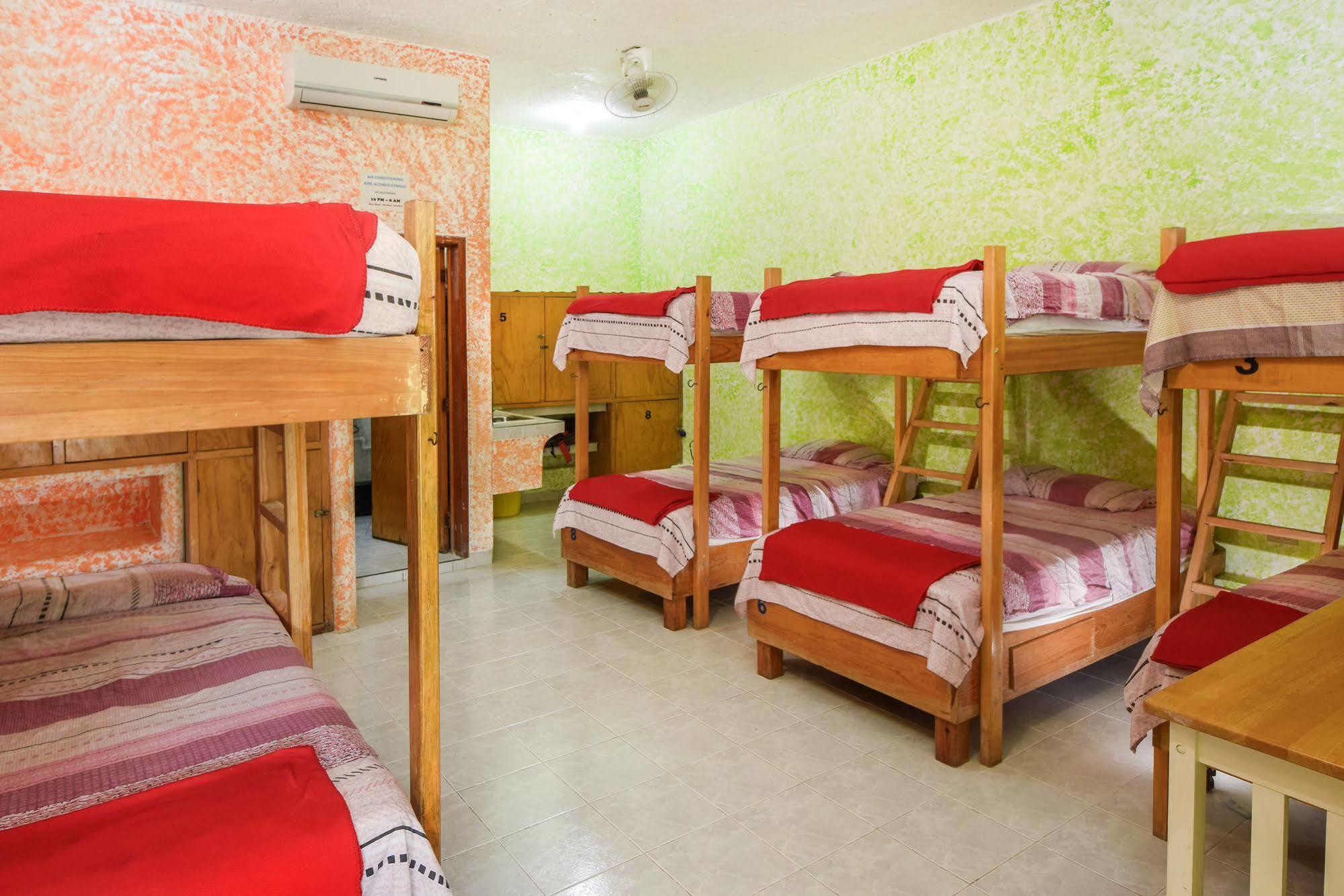 Amigos Hostel Cozumel Camas de hostel foto