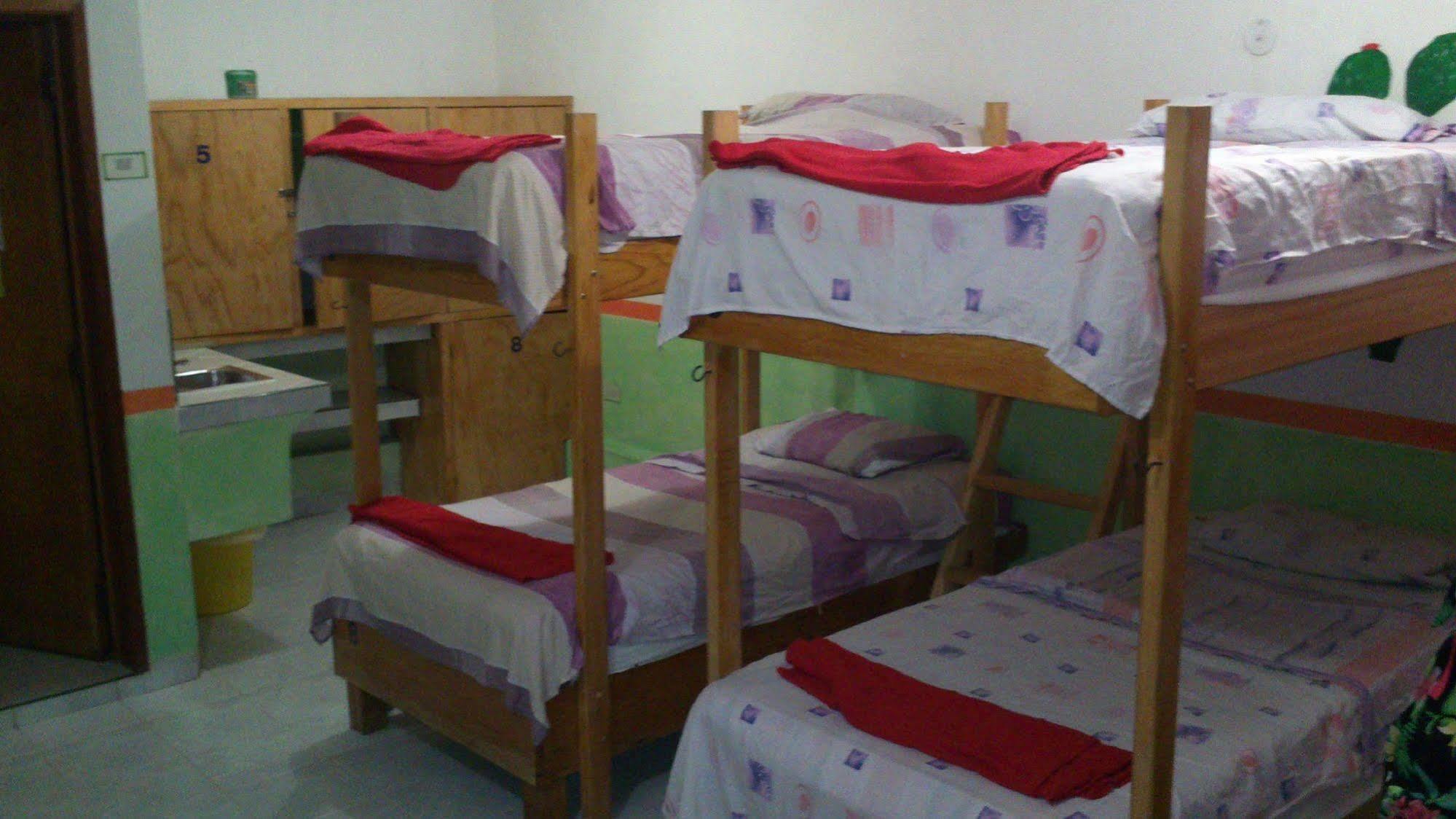Amigos Hostel Cozumel Camas de hostel foto